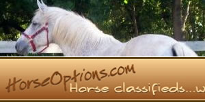 Site Showcase - Horse Options